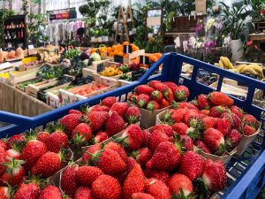 Les fraises arrivent au jardin des saveurs